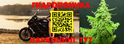 PSILOCYBIN Лесосибирск