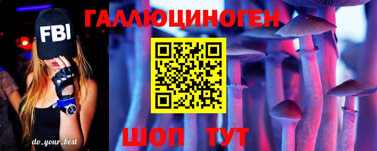 Зима  Псилоцибиновые грибы Psilocybe  Вход с VPN 